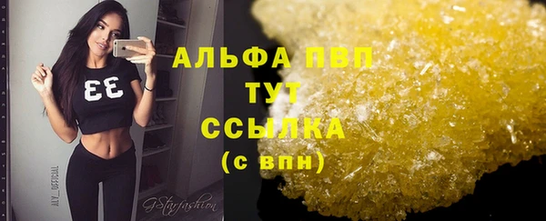 apvp Кукмор