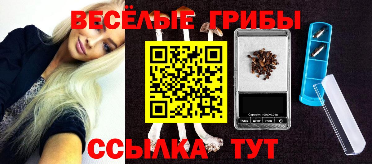 Псилоцибиновые грибы GOLDEN TEACHER Маркс